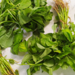 Kaya Nutrisi dan Rendah Kalori: Manfaat Brokoli untuk Kesehatan Tubuh